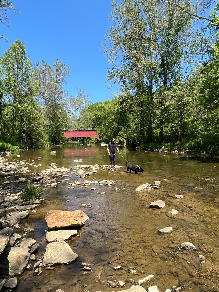 Standing in the river with a black dog in front of a covered bridge