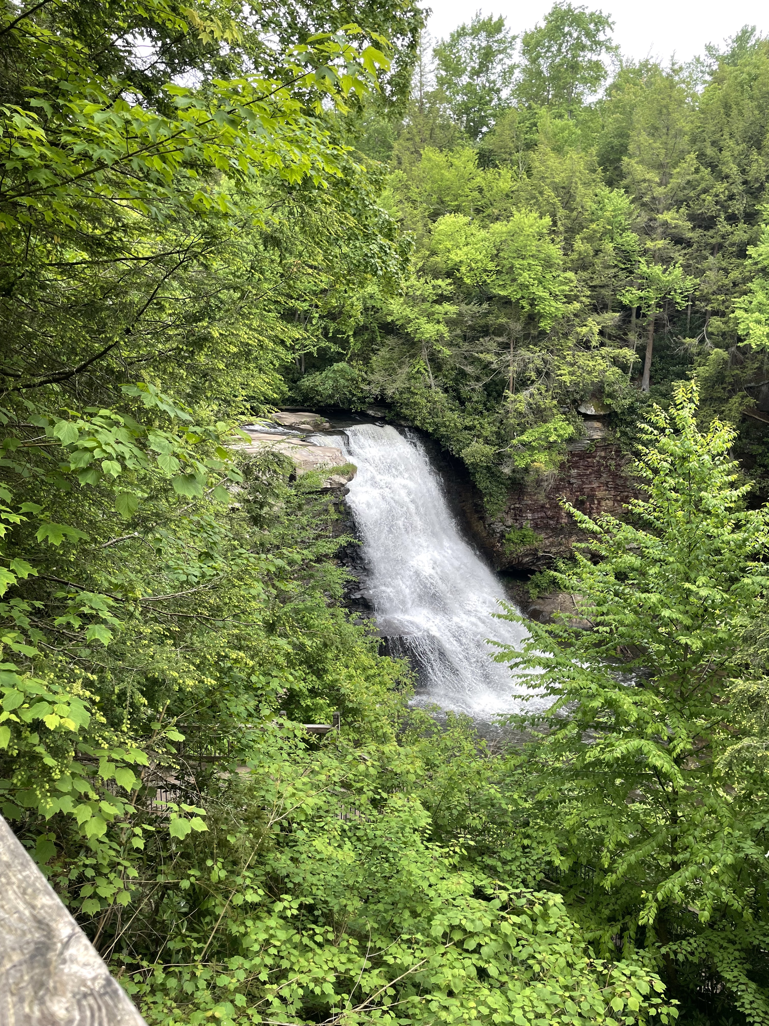 Swallow Falls