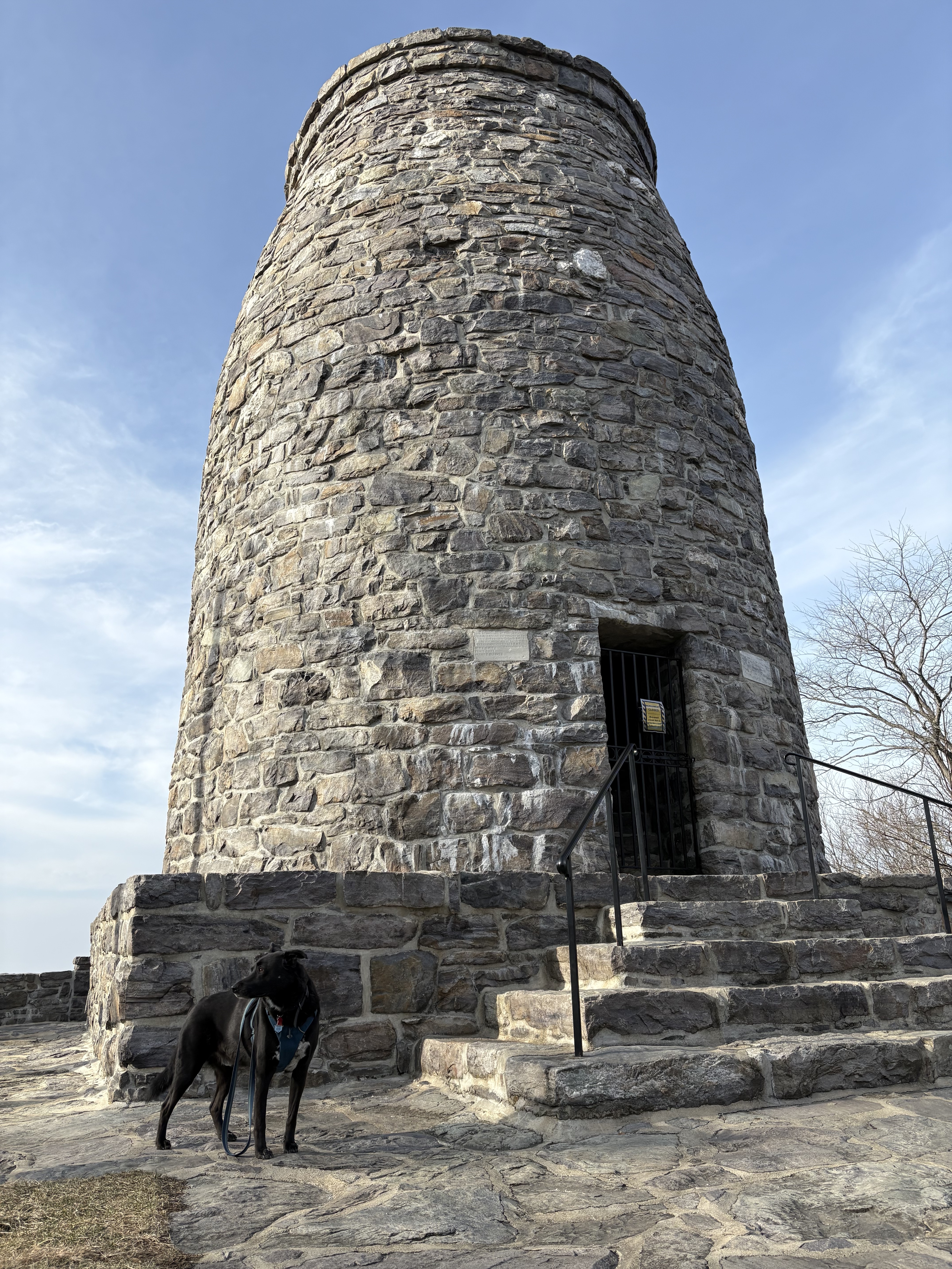 Washington monument with dog